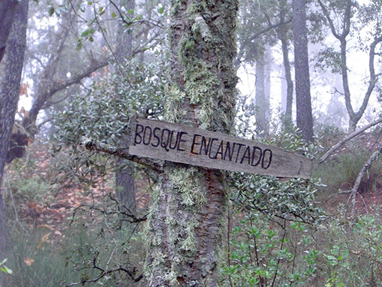 2ª Ruta de senderismo Rodeo al Cerro del Castaño
