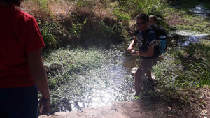 cruzando-un-riachuelo1